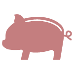 Contains Pork