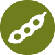 Soy