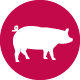 Contains Pork